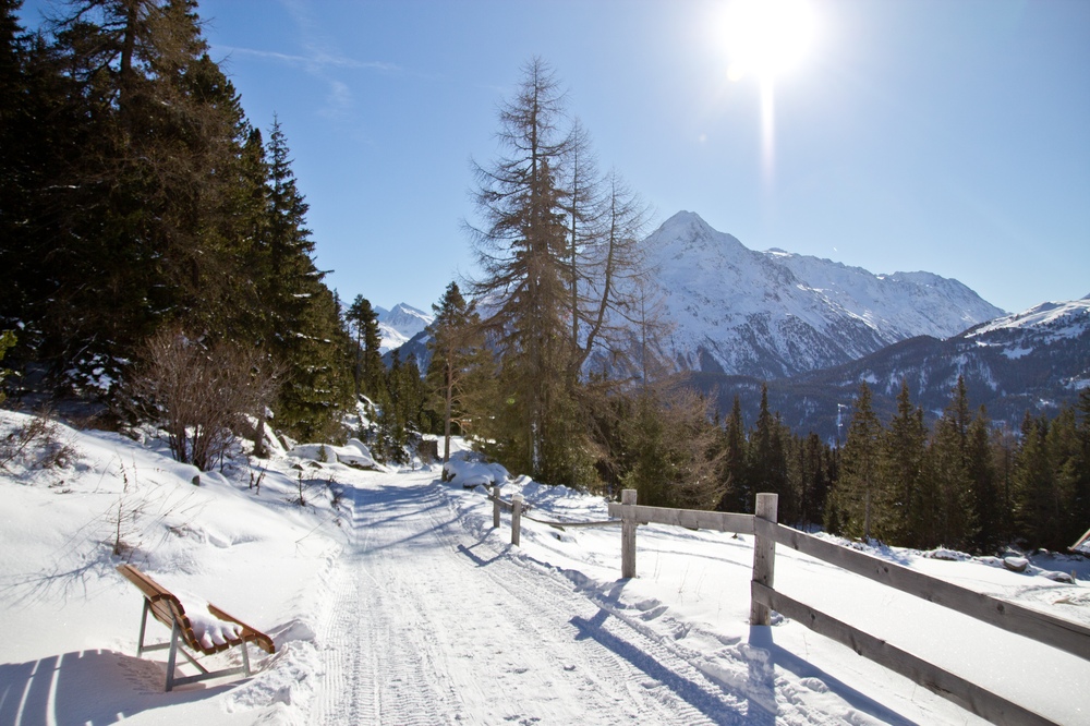 Sölden Stallwiesalm Rodeln